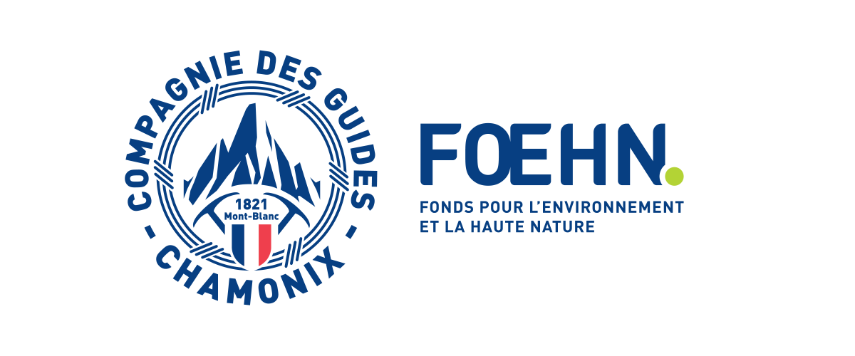 logo-foehn-dec2023-1200px-23140